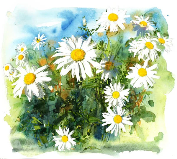 Daisy Tuin, aquarel en mixed media — Stockfoto