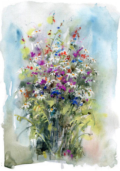 Meadow Bouquet White Purple Blue Flowers Watercolor Art Illustration Stock Image