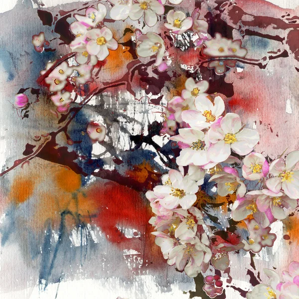 花朵盛开的苹果树，艺术背景 — 图库照片
