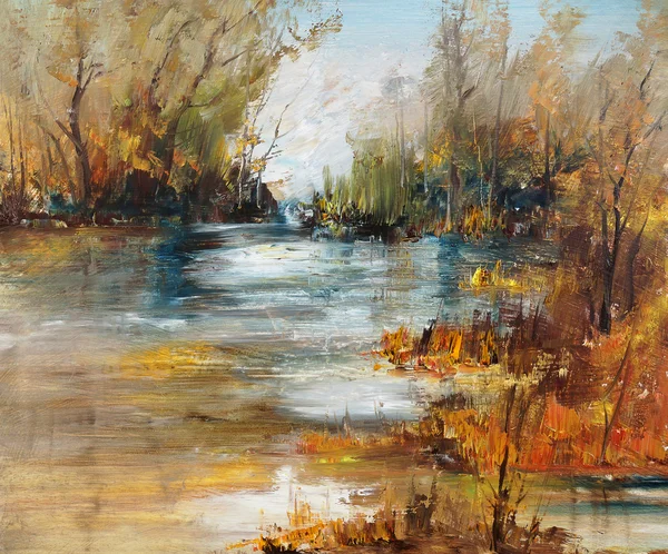 Ormandaki göl yüzeyine