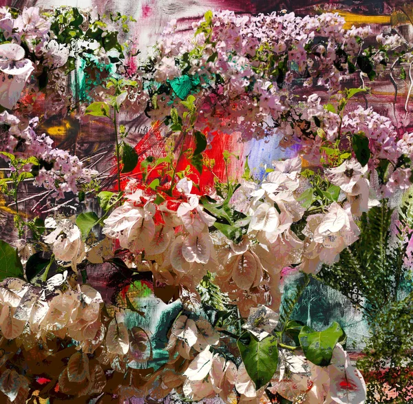 Rosa och vita blommor, mixed media — Stockfoto