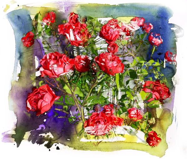 Roses, watercolor and mixed media background — Stock Photo, Image