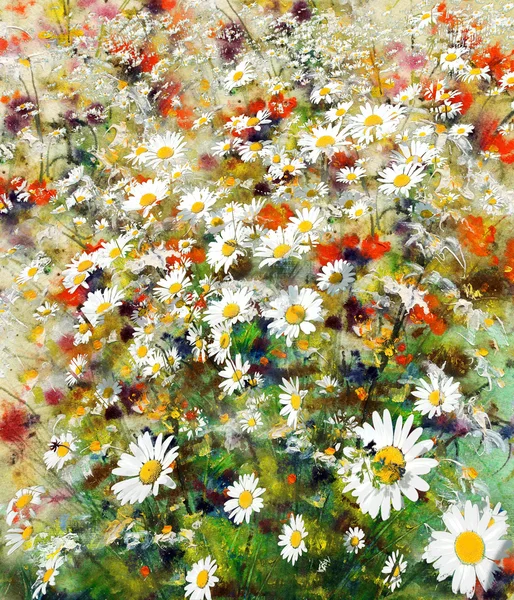 Floral background with daisies, artistic background — Stock Photo, Image