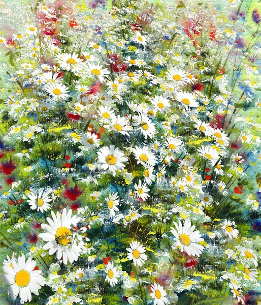 Daisy en weide bloemen, kunst achtergrond — Stockfoto