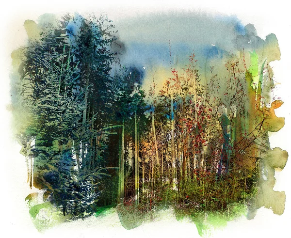 Forest motif, watercolor and mixed media — Stock Photo, Image