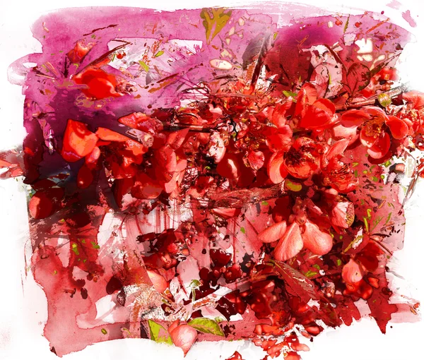 Red flowers, watercolor and mixed media — Stock Photo, Image