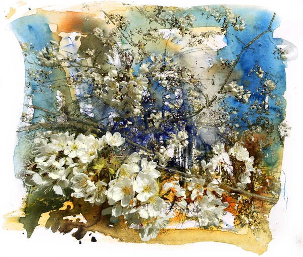 Spring and flowers, watercolor and mixed media — Stock Photo, Image