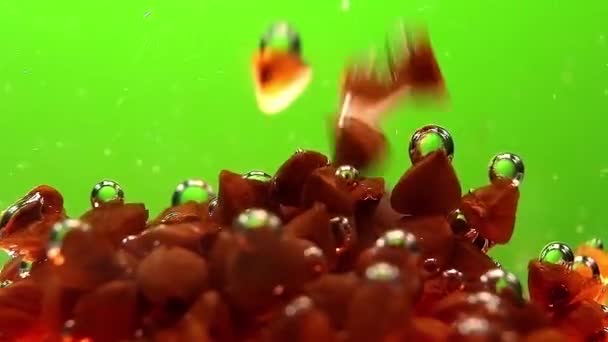 Nueces triangulares de trigo sarraceno están cayendo lentamente en el agua, la captura de burbujas de aire. — Vídeos de Stock
