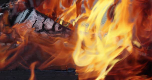 Flăcările Galbene Ale Focului Linge Încet Buștenii Arși Arderea Lemnului — Videoclip de stoc