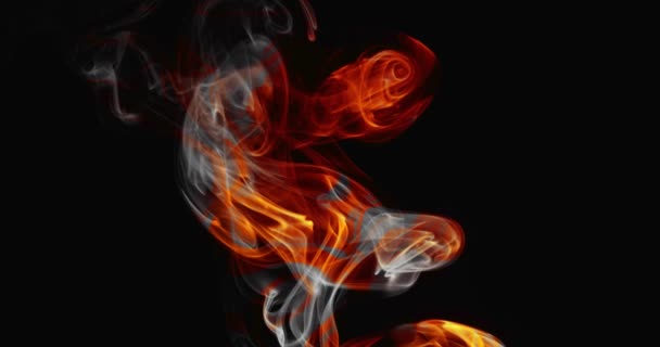 色の煙の雲の超現実的な遅いダンス 暗い背景に素晴らしい煙の渦 炎の抽象的な色の舌 スローモーション — ストック動画