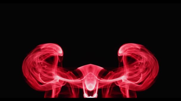 Psychedelische Fantasien Von Farbigem Rauch Psychodiagnostischer Test Symmetrischer Farbklecks Axiale — Stockvideo