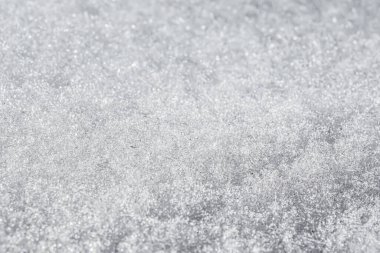 Yeni yağmış taze karın yakın plan çekimi. Ayrı ayrı parlayan kar taneleri. Katı bir kar tabakasının dokusu.