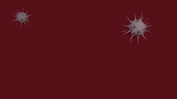 Modello 3D del coronavirus. Coronavirus volanti su uno sfondo rosso solido. — Video Stock