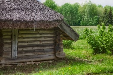 19. yüzyılın Belarus köyünün mimarisi..