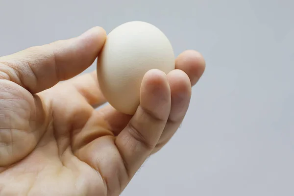 White chicken egg in hand close-up. An egg in the hand of a man on a light background.