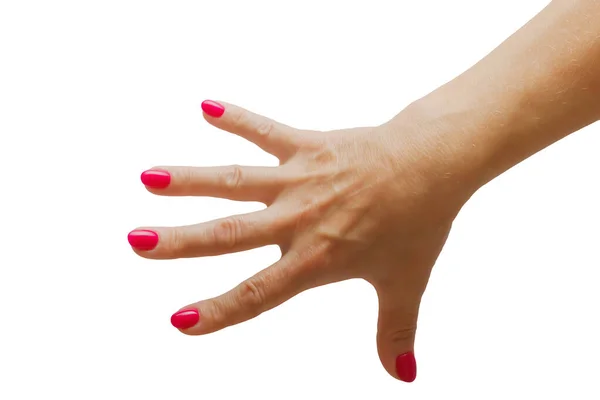 Mão de uma mulher envelhecida com manicure em um fundo branco. Isolar. — Fotografia de Stock