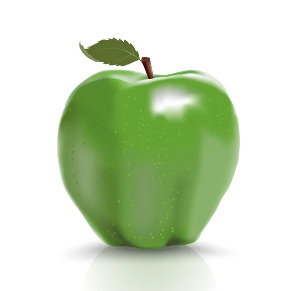 Зеленое спелое яблоко, изолированное над белым — стоковый вектор