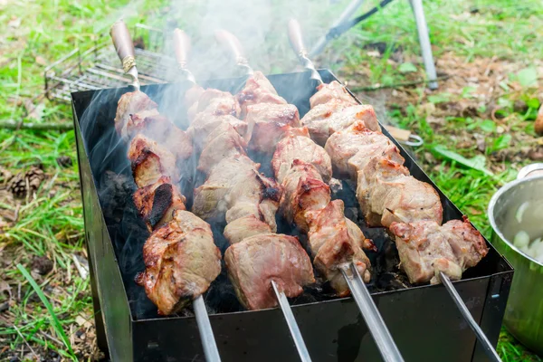 Läckra fläsk grillat kött — Stockfoto