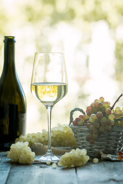 Botella y copa de vino con uvas —  Fotos de Stock