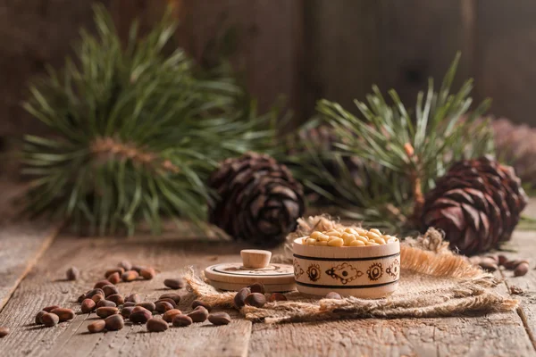 Nueces de cedro y rama con cono — Foto de Stock