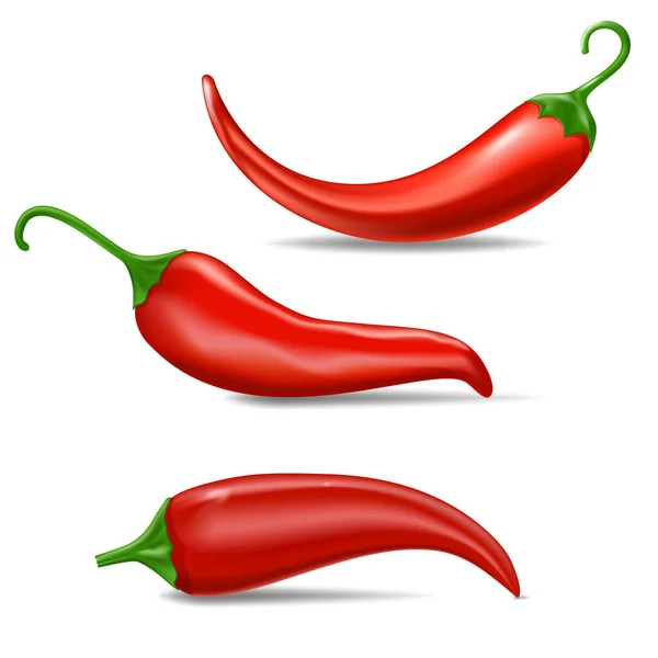 Realistische Frische Rote Chilischote Küche Bio Vektor Würzigen Geschmack Chili — Stockvektor