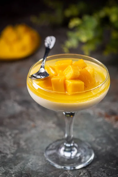 Panna cotta med mango — Stockfoto