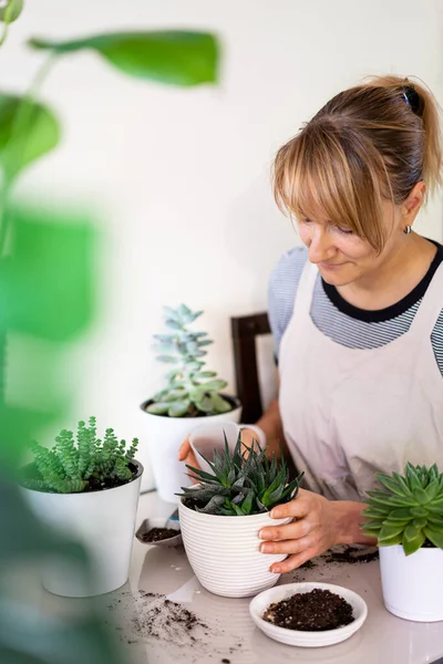 Donna prendersi cura delle piante — Foto Stock