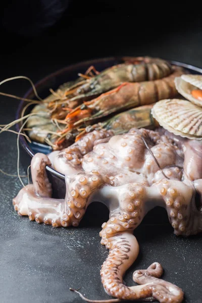 Assortimento di frutti di mare crudi — Foto Stock