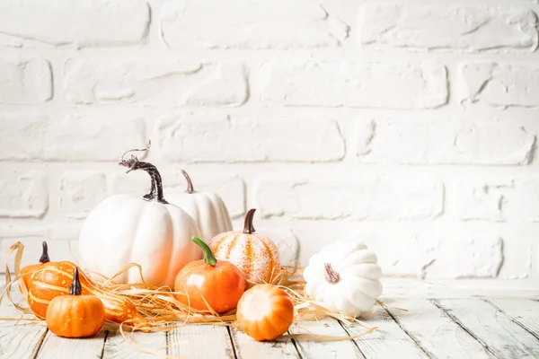 Decorazioni Autunnali Ringraziamento Halloween Con Mini Zucche Bianche Arancioni Uno — Foto Stock
