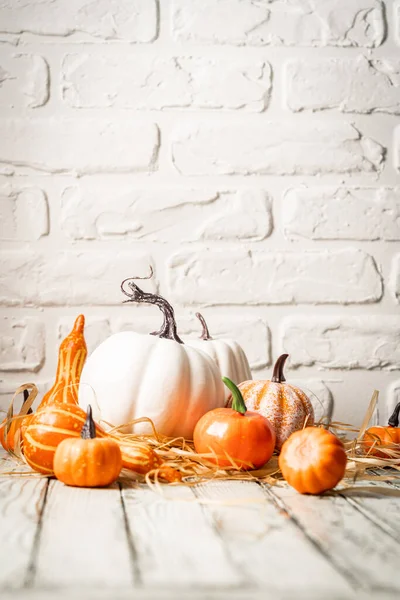 Decorazioni Autunnali Ringraziamento Halloween Con Mini Zucche Bianche Arancioni Uno — Foto Stock