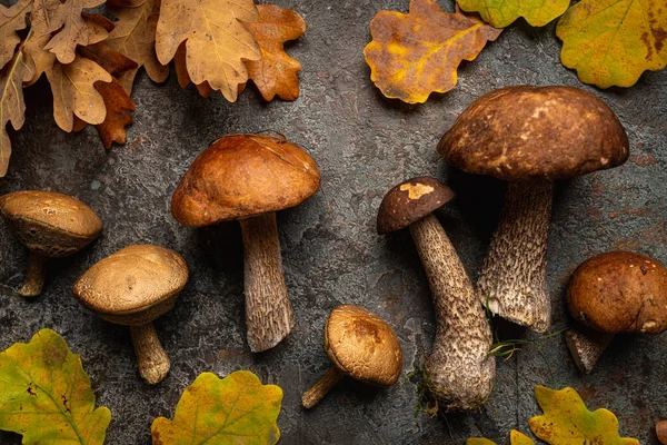 Boletus mushrooms with leaves — Stock Photo, Image