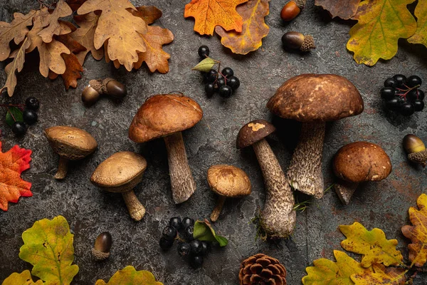 Boletus mushrooms with leaves — Stock Photo, Image