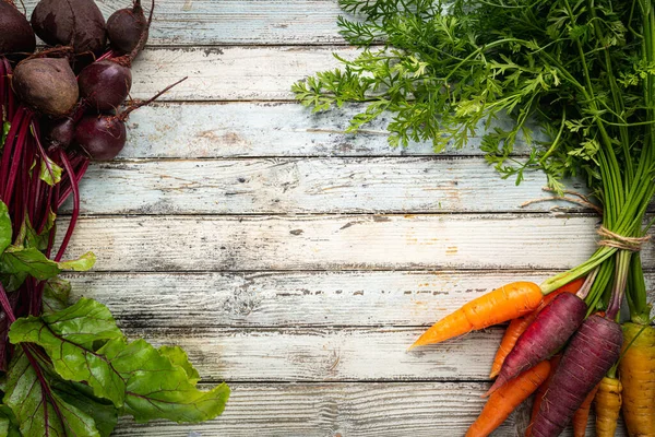 Produtos hortícolas de raízes orgânicas frescas — Fotografia de Stock