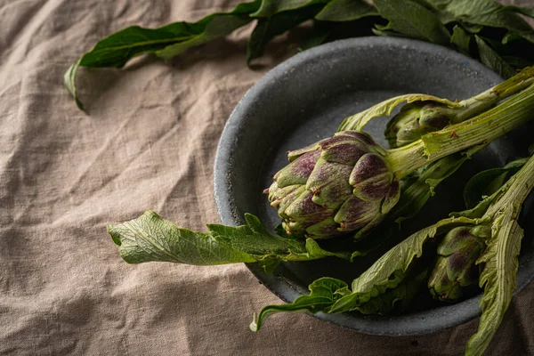 Frische Artischocke mit Blättern — Stockfoto