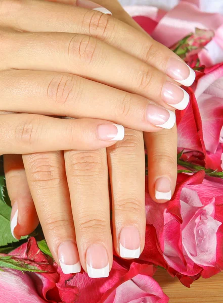 Beautiful woman hands with rose — Stock Photo, Image