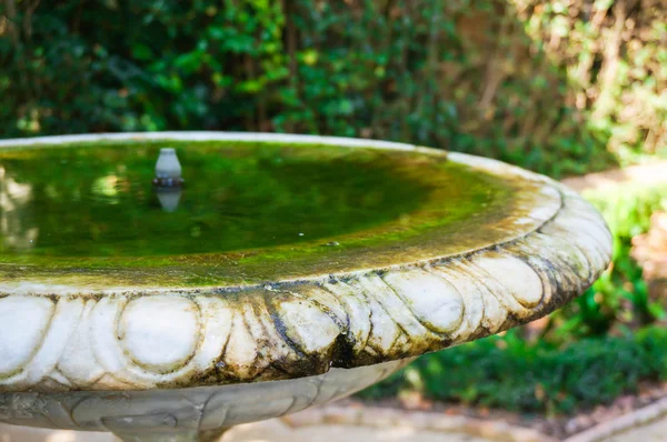 Garden birdbath — Stock Photo, Image