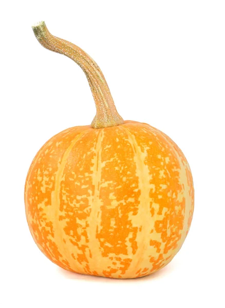 Pumpkin over white background — Stock Photo, Image