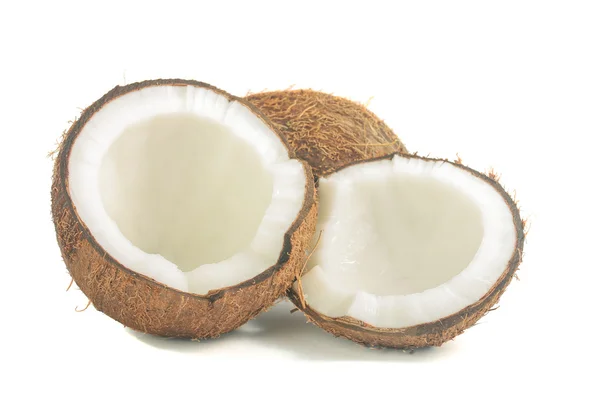 Cocco isolato su fondo bianco — Foto Stock