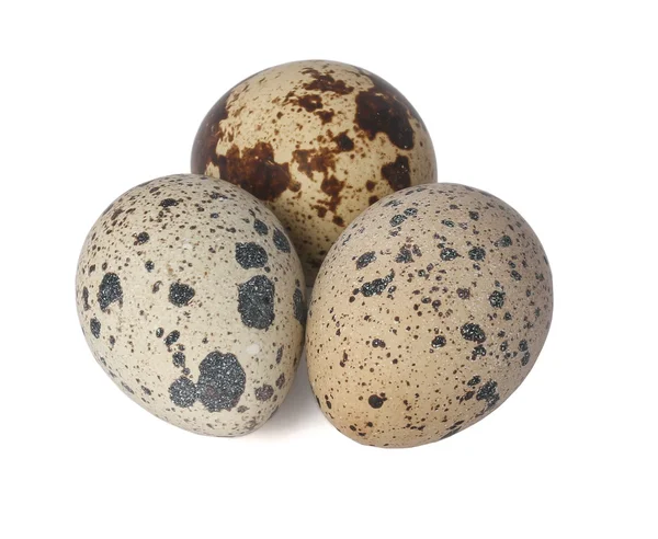 Group of quail eggs — Stock Photo, Image