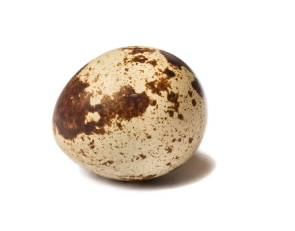 One quail egg. Isolated on white — Stock Photo, Image