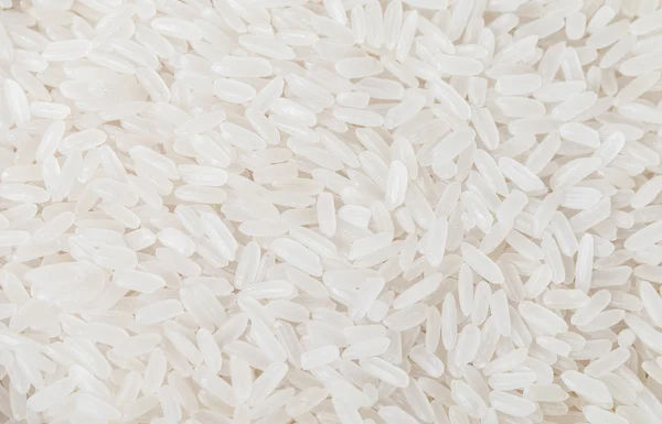 Bianco lungo sfondo di riso — Foto Stock