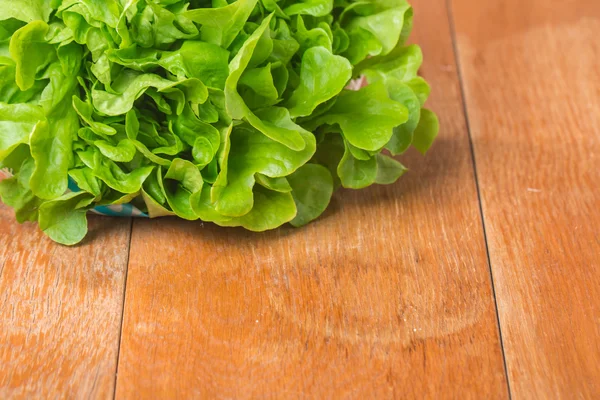 Friss zöld szerves saláta — Stock Fotó
