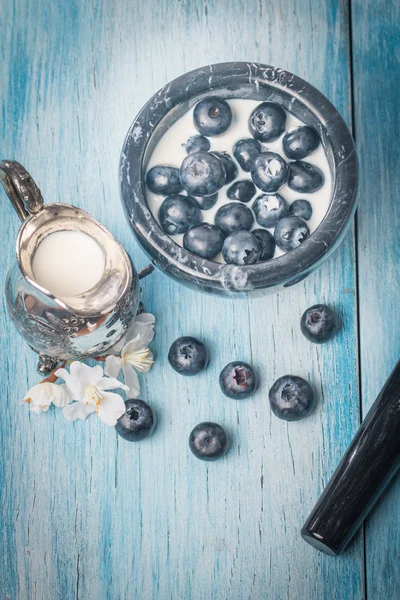 Blueberries with cream in black mortar — Stock Photo, Image