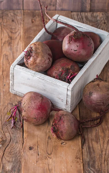 Fresh organic red beets — Stock Photo, Image