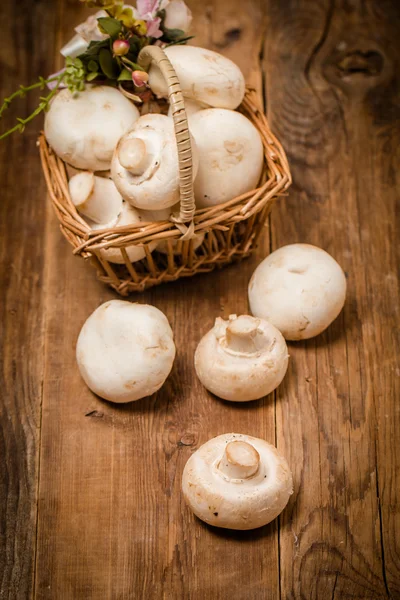 Frische Pilze im Korb — Stockfoto