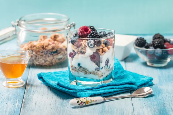 Миска мюсли и йогурта со свежими ягодами — стоковое фото