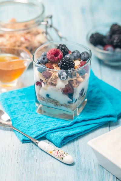 Egy tál müzli és joghurt friss bogyókkal — Stock Fotó