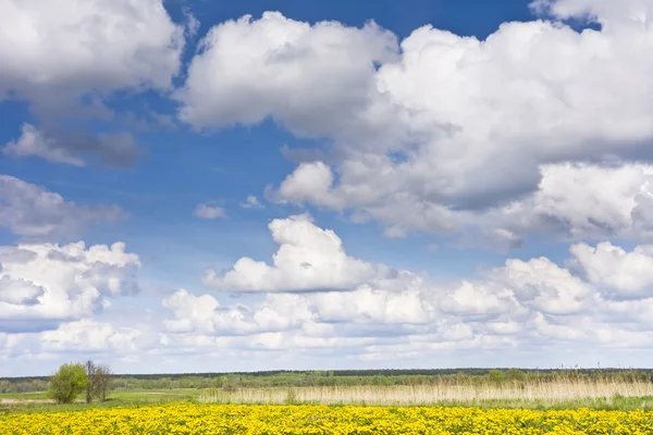 Paisagem com dentes-de-leão, prados e nuvens em um céu azul . — Fotografia de Stock