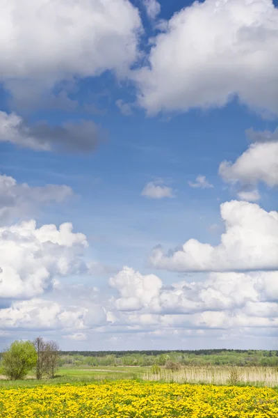 Paisagem com dentes-de-leão, prados e nuvens em um céu azul . — Fotografia de Stock