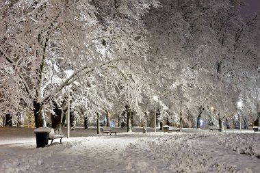 Geceleri taze karla kaplı park et..